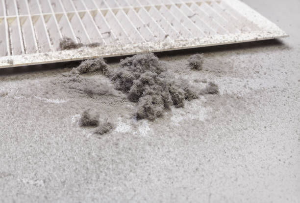 Best Air Duct Cleaning Near Me  in Port St Joe, FL