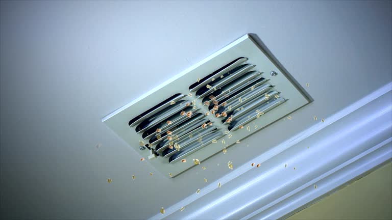 Best HVAC System Cleaning  in Port St Joe, FL