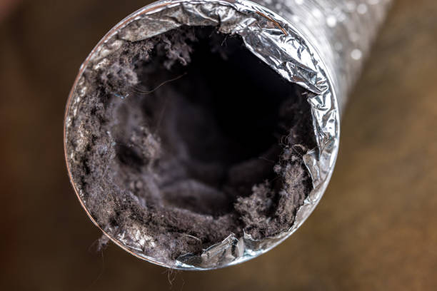 Best Best Air Duct Cleaning Near Me  in Port St Joe, FL